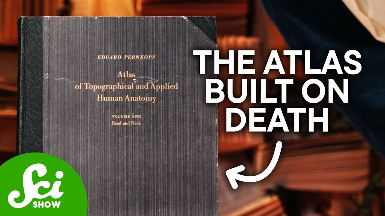 The Pernkopf Atlas: Medicine's Most Controversial Book