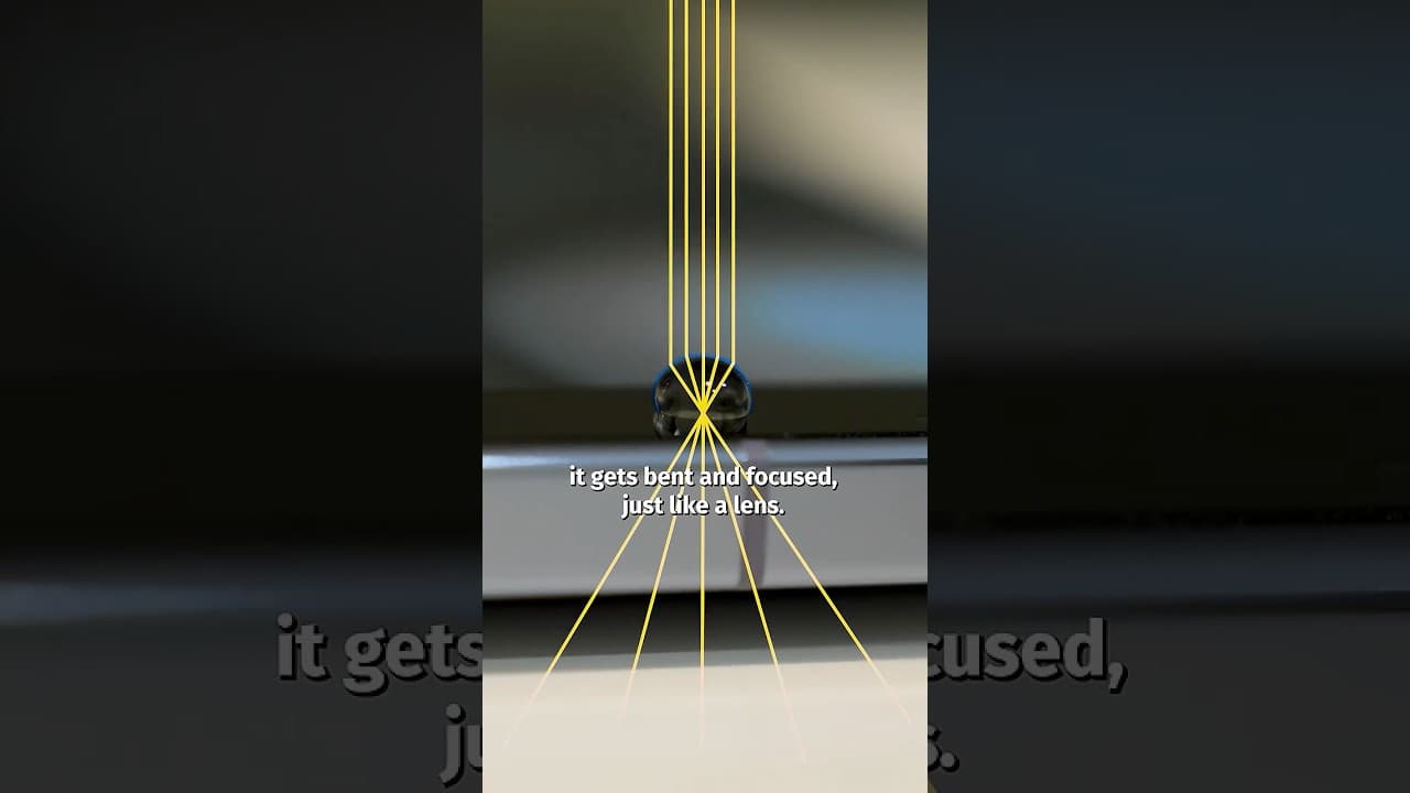 I Turned My Phone Into A Microscope