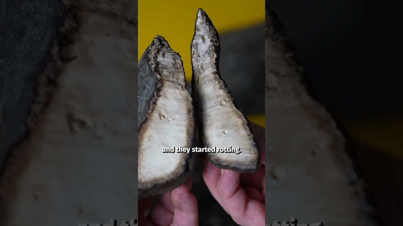 Rubber used to be useless…