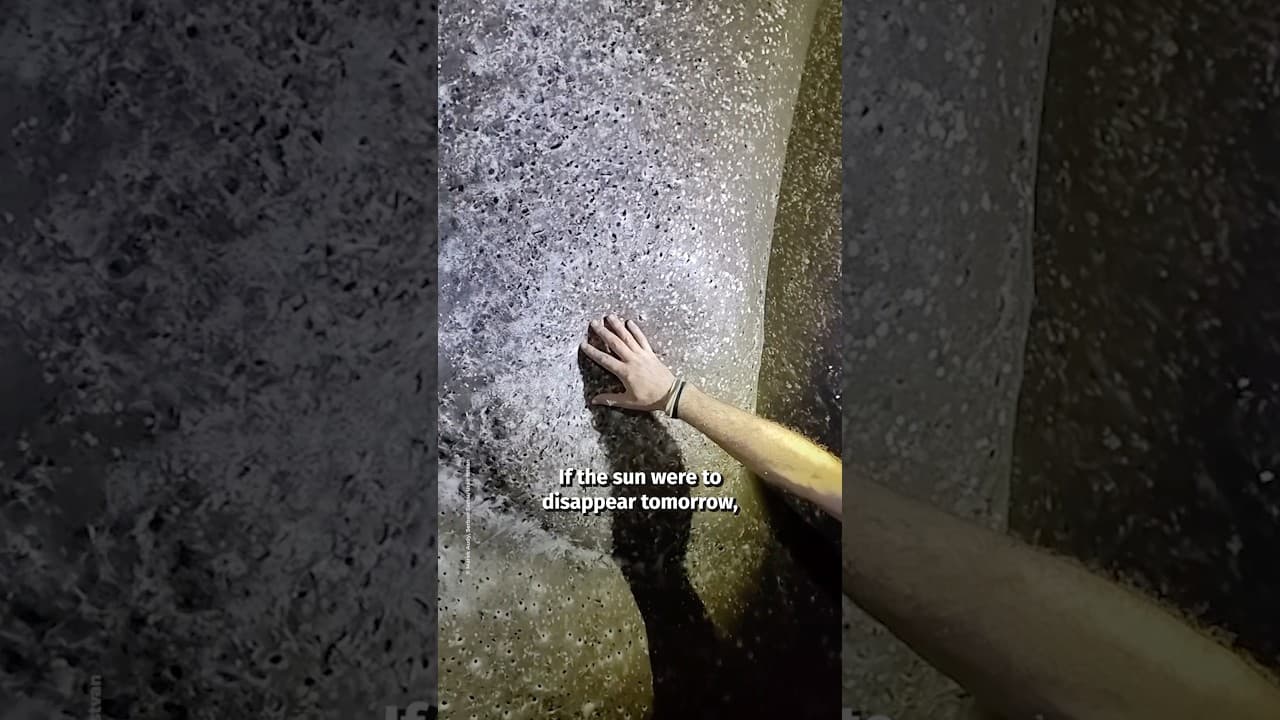 World’s Largest Spiderweb