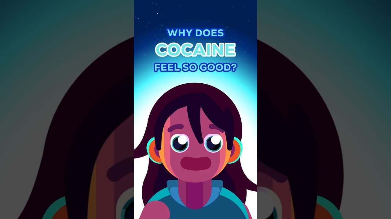 Why Does Cocaine Feel So Good?