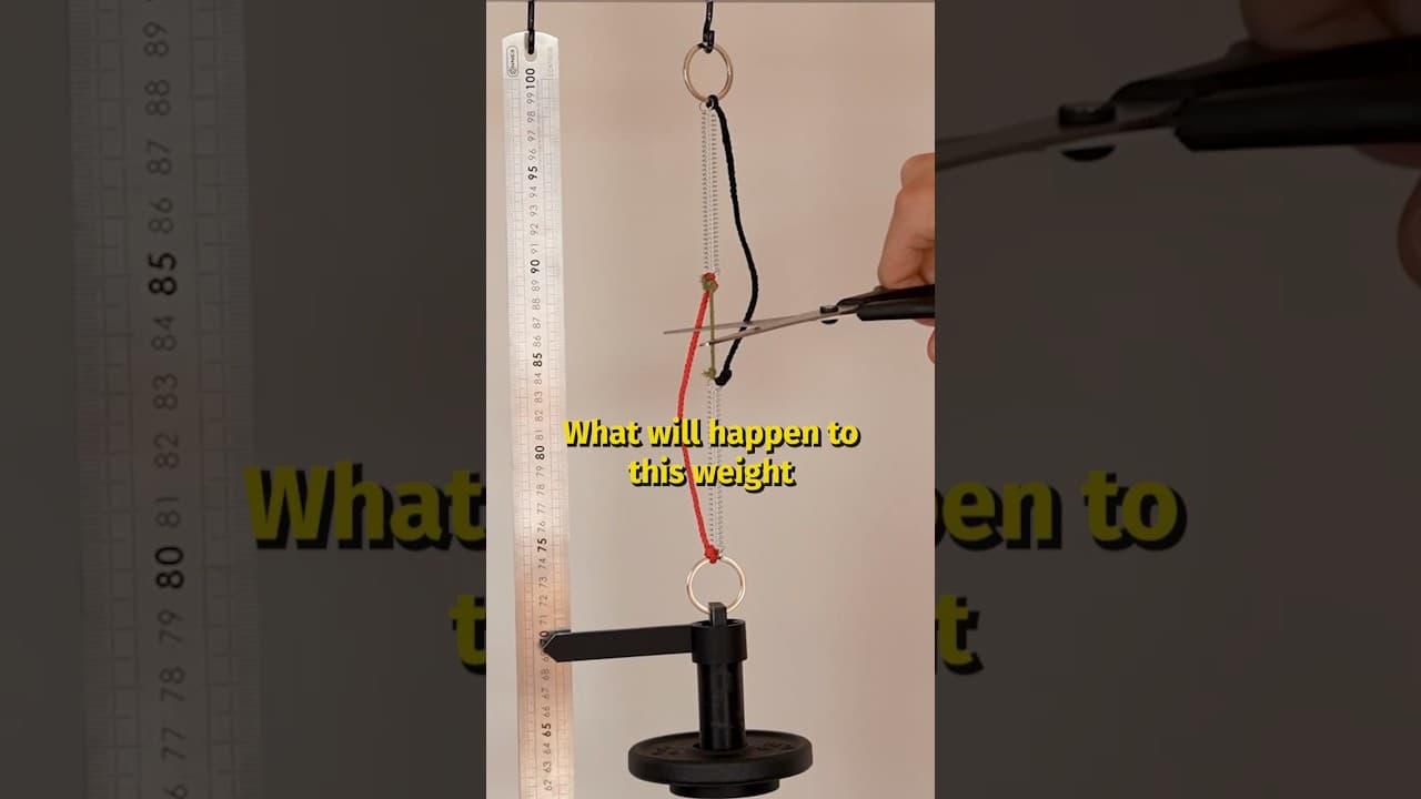 What happens if you cut the green rope?