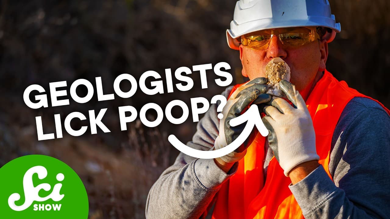 We're Sending Our Audience Poop. You're Welcome.