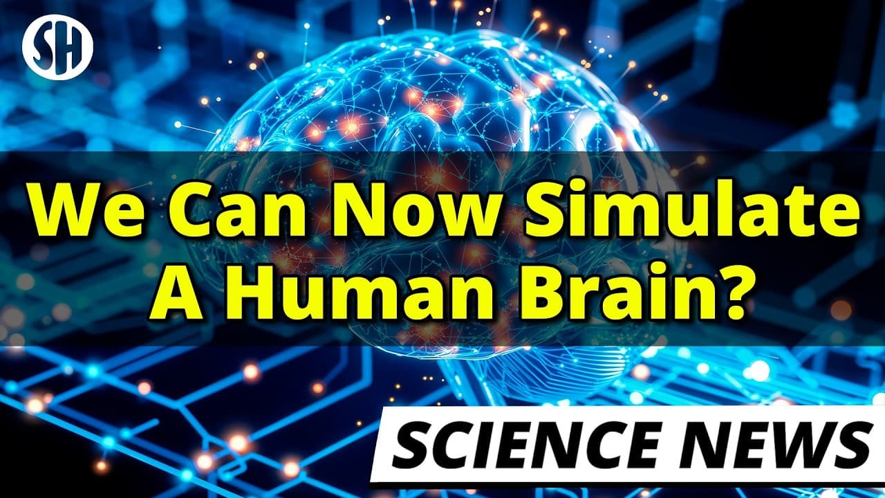 We Can Now Simulate a Human Brain, Scientists Show